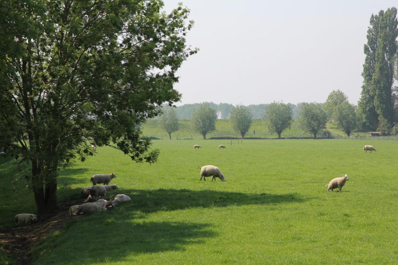 B&B Buitenwaard Oosterhout  Bagian luar foto