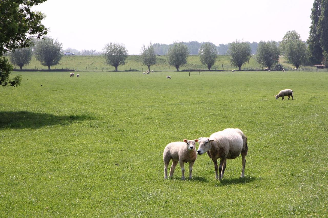 B&B Buitenwaard Oosterhout  Bagian luar foto